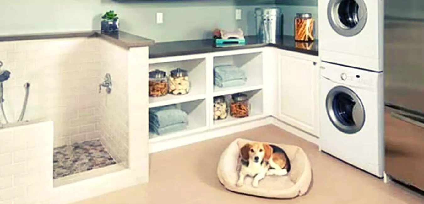 25 DIY Dog Room Decor Ideas