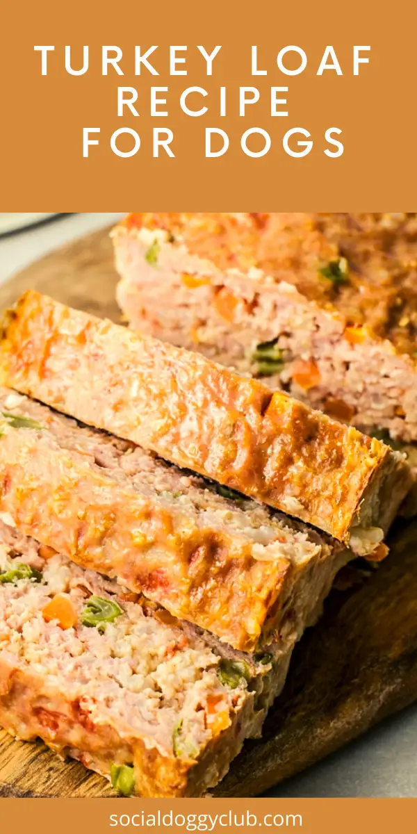 6 Healthy Dog Food Recipes Are Perfect For Busy Owners | Social Doggy Club