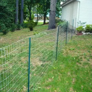 Quick and Easy Dog Fence Ideas | Social Doggy Club