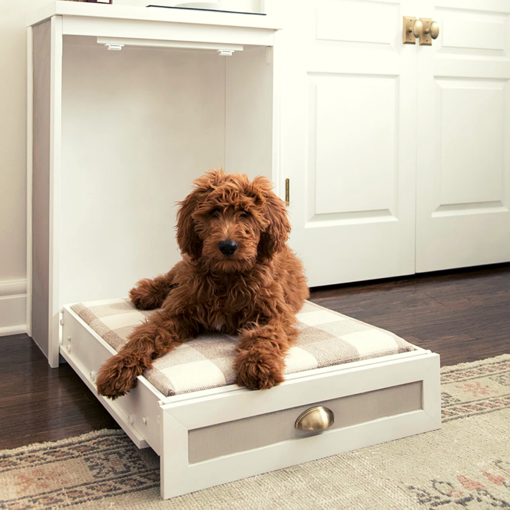 6 Awesome Dog Bed Ideas Social Doggy Club