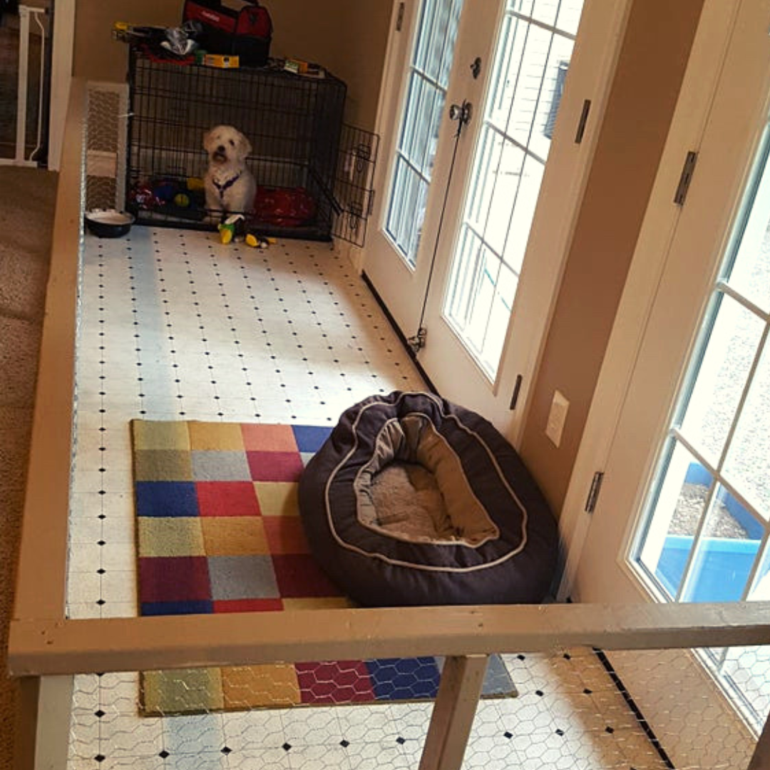 25 DIY Dog Room Decor Ideas Social Doggy Club