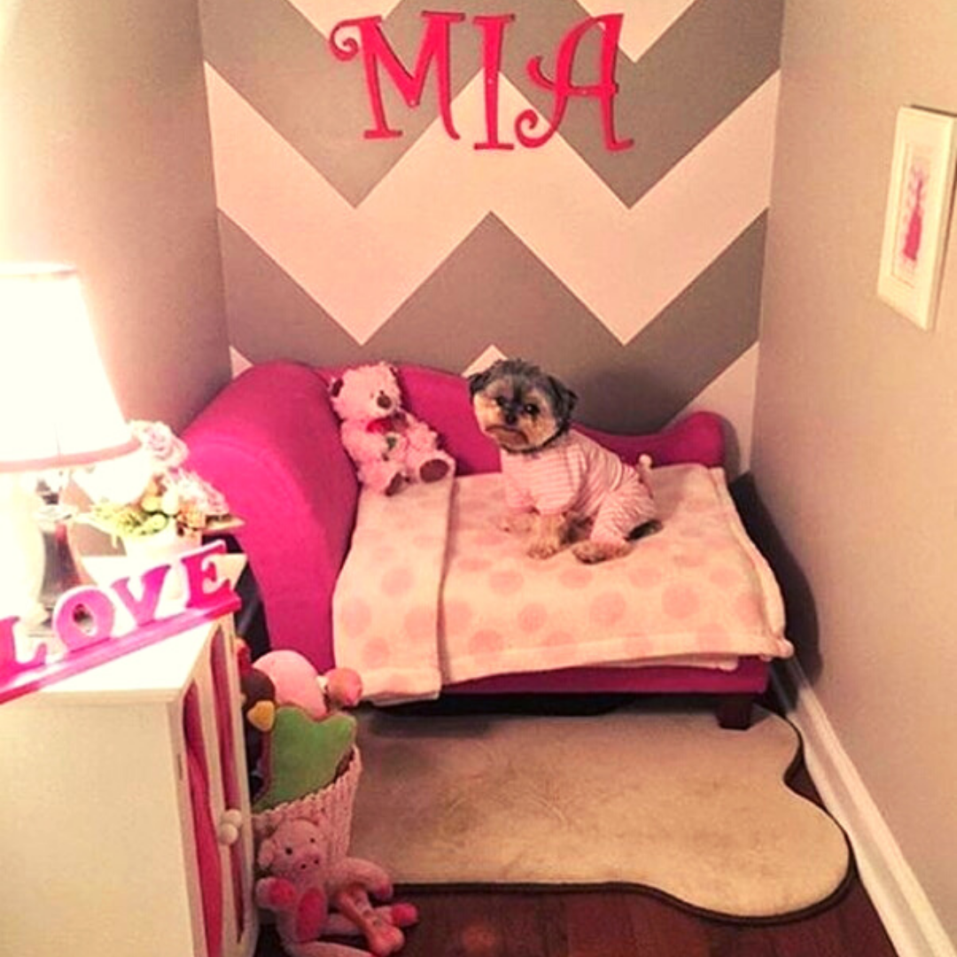 25 DIY Dog Room Decor Ideas Social Doggy Club