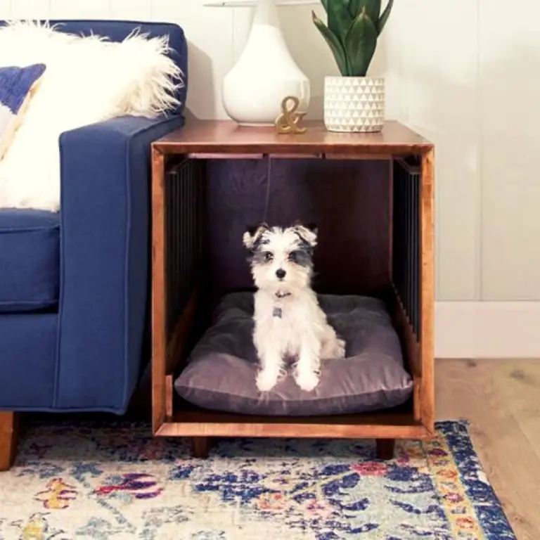 25 DIY Dog Room Decor Ideas | Social Doggy Club