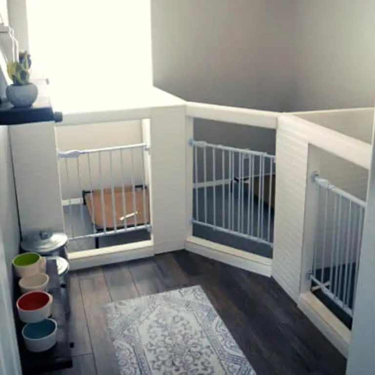 25 DIY Dog Room Decor Ideas Social Doggy Club