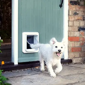 30 Creative Dog Door Ideas That An Owner and Dog Will Love | Social